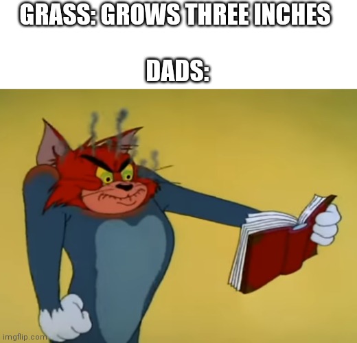 My dad literally makes me more every other day | GRASS: GROWS THREE INCHES 
 
DADS: | image tagged in angry tom,dads,lawnmower | made w/ Imgflip meme maker
