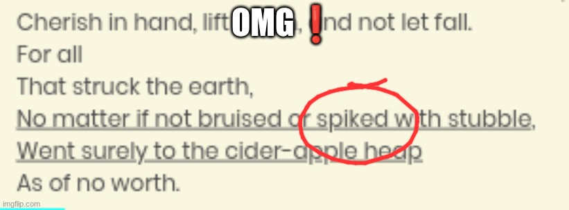 OMG❗ | made w/ Imgflip meme maker