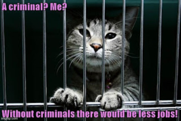 This #lolcat wonders how many jobs would dissapear if there was no more crime | image tagged in crime,lolcat,jobs | made w/ Imgflip meme maker