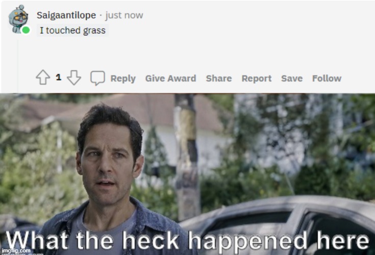 His entire account has no comments but has comments | image tagged in antman what the heck happened here | made w/ Imgflip meme maker