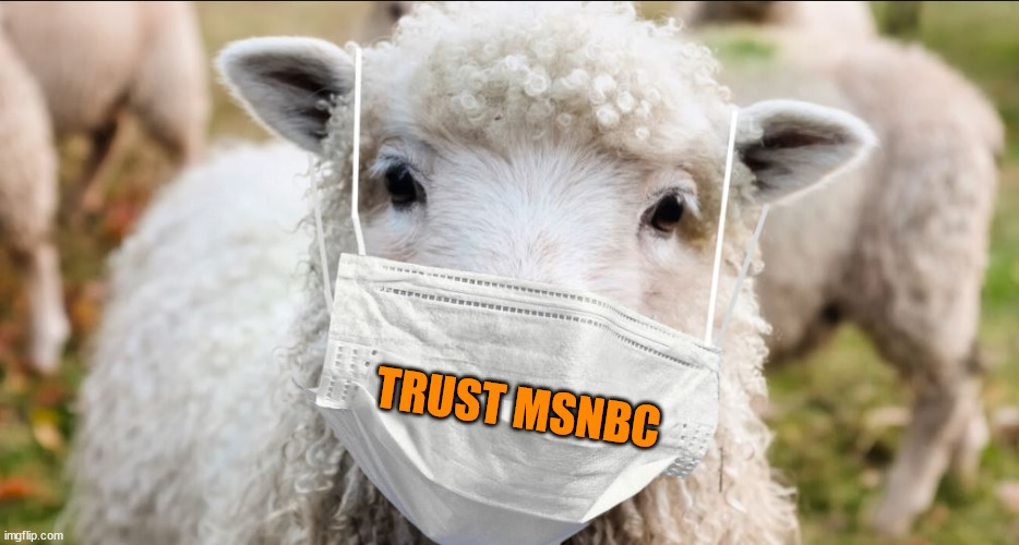 TRUST MSNBC | made w/ Imgflip meme maker