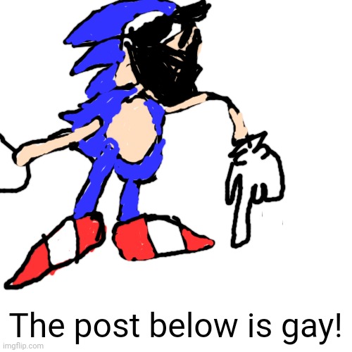 Blank Transparent Square Meme | The post below is gay! | image tagged in memes,blank transparent square | made w/ Imgflip meme maker