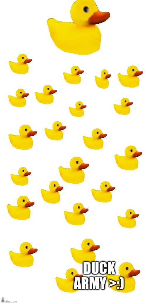 POV your new to the duck stream | DUCK ARMY >:); POV YOU ARE NEW TO THE DUCK STREAM | image tagged in pov,ducks,army | made w/ Imgflip meme maker
