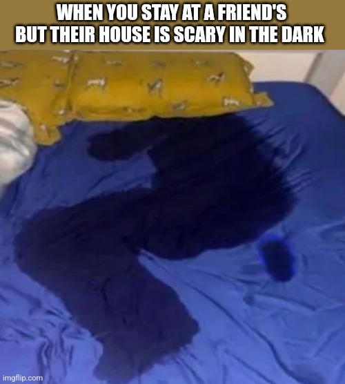 WHEN YOU STAY AT A FRIEND'S BUT THEIR HOUSE IS SCARY IN THE DARK | image tagged in funny memes | made w/ Imgflip meme maker