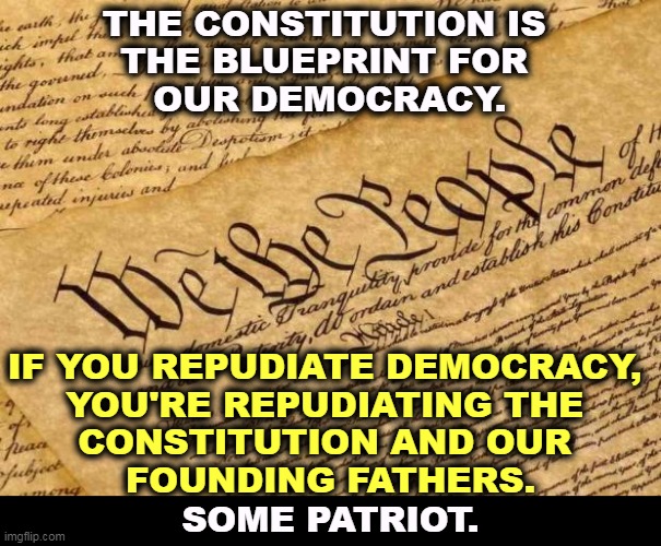 If you prize liberty over democracy, you are no constitutionalist. | THE CONSTITUTION IS 
THE BLUEPRINT FOR 
OUR DEMOCRACY. IF YOU REPUDIATE DEMOCRACY, 

YOU'RE REPUDIATING THE 
CONSTITUTION AND OUR 
FOUNDING FATHERS. SOME PATRIOT. | image tagged in constitution,democracy,liberty,idiots | made w/ Imgflip meme maker