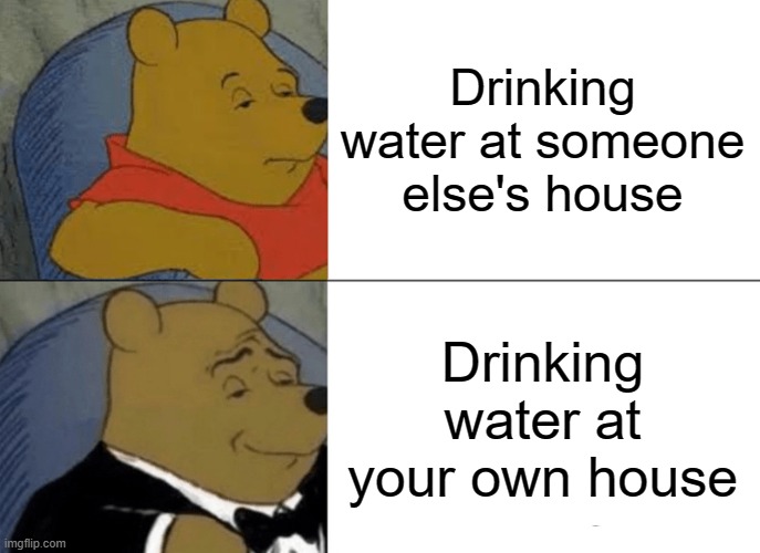 it do be like that tho | Drinking water at someone else's house; Drinking water at your own house | image tagged in memes,tuxedo winnie the pooh,relatable | made w/ Imgflip meme maker