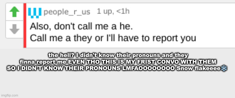 the hell? I didn't know their pronouns and they finna report me EVEN THO THIS IS MY FRIST CONVO WITH THEM SO I DIDN'T KNOW THEIR PRONOUNS LMFAOOOOOOOO Snow flakeeee❄ | made w/ Imgflip meme maker