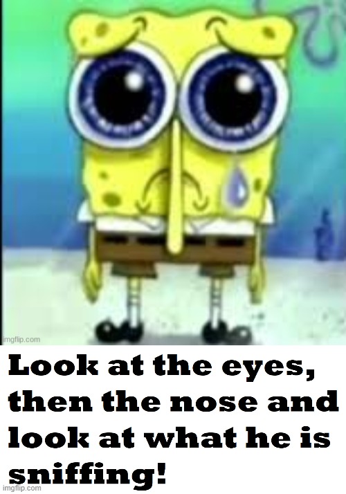 cursed | image tagged in spongebob cry,funny,fun,spongebob,bige-made-this,memes | made w/ Imgflip meme maker