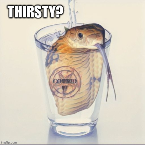 The Covid scandal... justs keeps getting deeper and deeper... | THIRSTY? | image tagged in cobra,venom,drinking,water | made w/ Imgflip meme maker