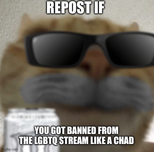 I didn’t even post a meme in the stream and I got banned pfft | REPOST IF; YOU GOT BANNED FROM THE LGBTQ STREAM LIKE A CHAD | image tagged in kool kat | made w/ Imgflip meme maker