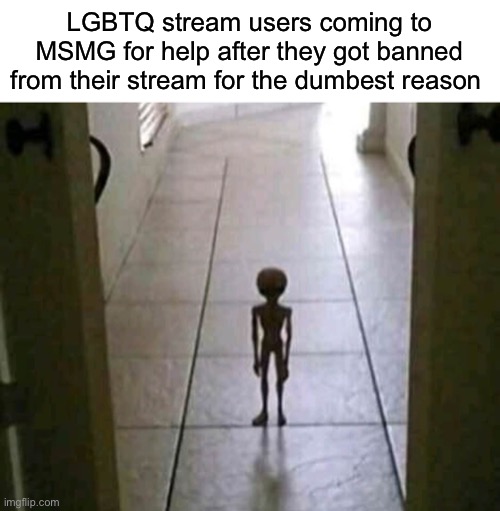 My alien at 3am | LGBTQ stream users coming to MSMG for help after they got banned from their stream for the dumbest reason | image tagged in my alien at 3am | made w/ Imgflip meme maker