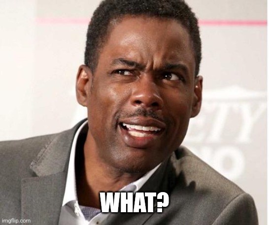 chris rock wut | WHAT? | image tagged in chris rock wut | made w/ Imgflip meme maker