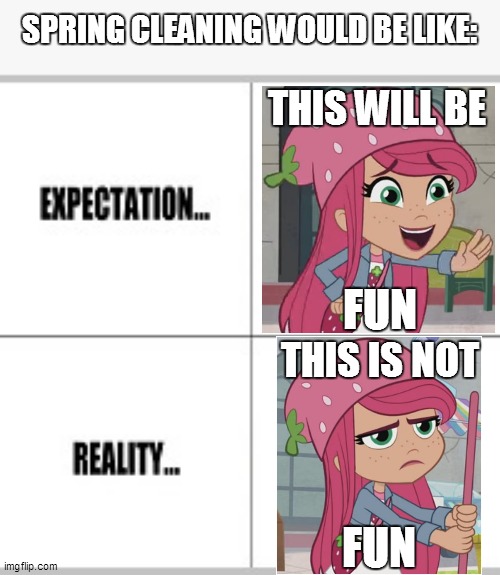 Spring Cleaning is Actually Fun! |  SPRING CLEANING WOULD BE LIKE:; THIS WILL BE; FUN; THIS IS NOT; FUN | image tagged in expectation vs reality,strawberry shortcake,strawberry shortcake berry in the big city,memes,funny memes,springtime | made w/ Imgflip meme maker