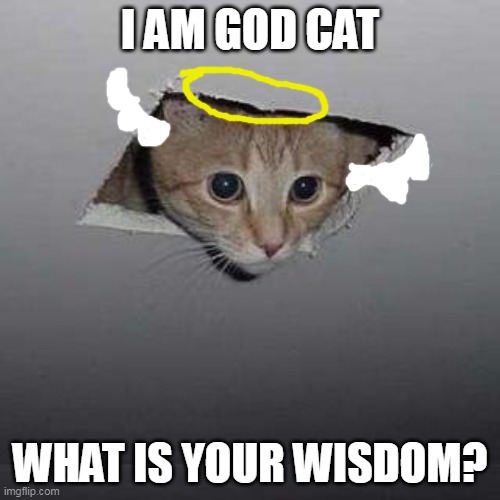 Ceiling Cat | I AM GOD CAT; WHAT IS YOUR WISDOM? | image tagged in memes,ceiling cat,god cat,heaven | made w/ Imgflip meme maker
