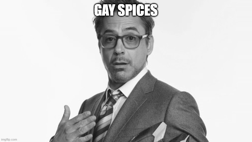GAY SPICES | image tagged in robert downey jr's comments | made w/ Imgflip meme maker