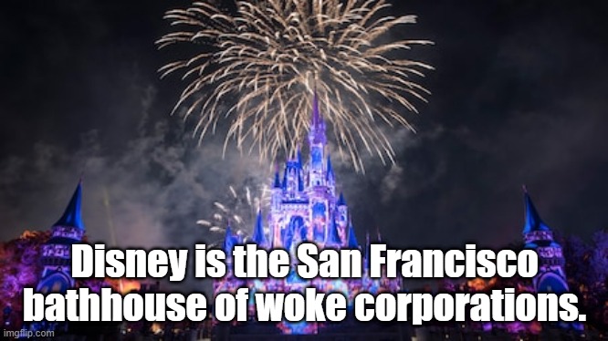 bathhouse | Disney is the San Francisco bathhouse of woke corporations. | image tagged in disney world | made w/ Imgflip meme maker
