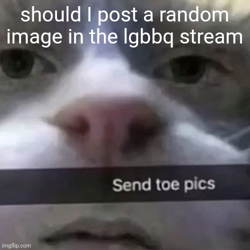 kat | should I post a random image in the lgbbq stream | image tagged in kat | made w/ Imgflip meme maker