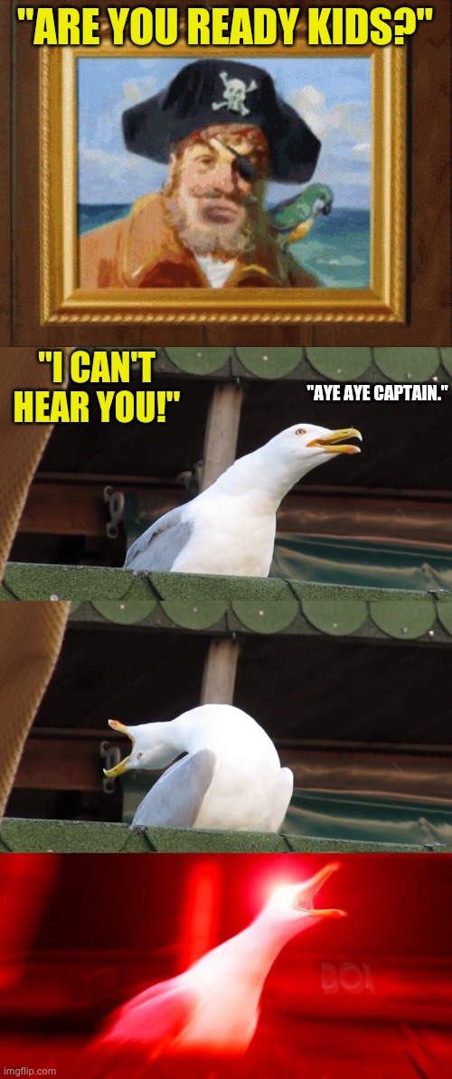 "ARE YOU READY KIDS?"; "I CAN'T HEAR YOU!"; "AYE AYE CAPTAIN." | image tagged in are you ready kids,inhaling seagull | made w/ Imgflip meme maker