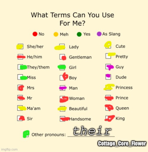 Pronouns Sheet | their; Cottage_Core_Flower | image tagged in pronouns sheet | made w/ Imgflip meme maker