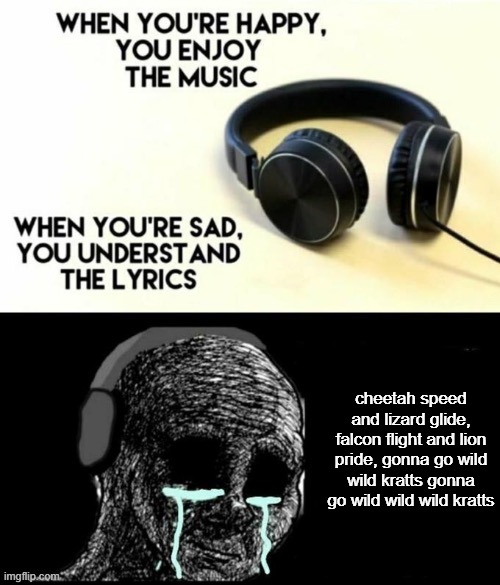 wild kratts | cheetah speed and lizard glide, falcon flight and lion pride, gonna go wild wild kratts gonna go wild wild wild kratts | image tagged in when your sad you understand the lyrics | made w/ Imgflip meme maker