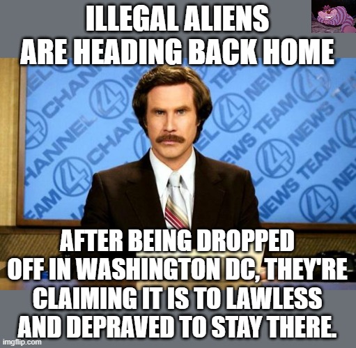 DC is worse than a third world country |  ILLEGAL ALIENS ARE HEADING BACK HOME; AFTER BEING DROPPED OFF IN WASHINGTON DC, THEY'RE CLAIMING IT IS TO LAWLESS AND DEPRAVED TO STAY THERE. | image tagged in breaking news | made w/ Imgflip meme maker