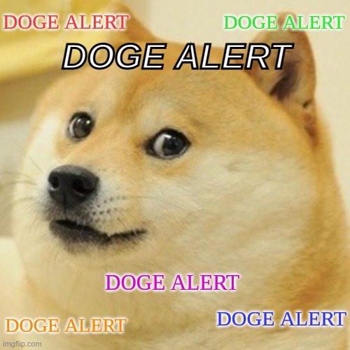 dogealertdogealertdogealertdogealertdogealertdogealertdogealertdogealerdogealertdogealertdogealertdogealertdogealertdogealertdog |  DOGE ALERT; DOGE ALERT; DOGE ALERT; DOGE ALERT; DOGE ALERT; DOGE ALERT | image tagged in memes,doge | made w/ Imgflip meme maker
