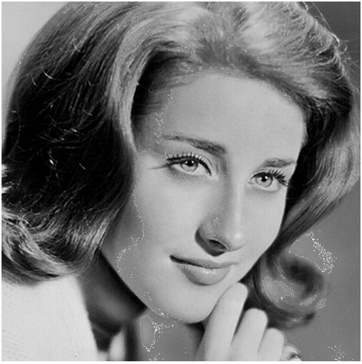 High Quality Lesley Gore Blank Meme Template