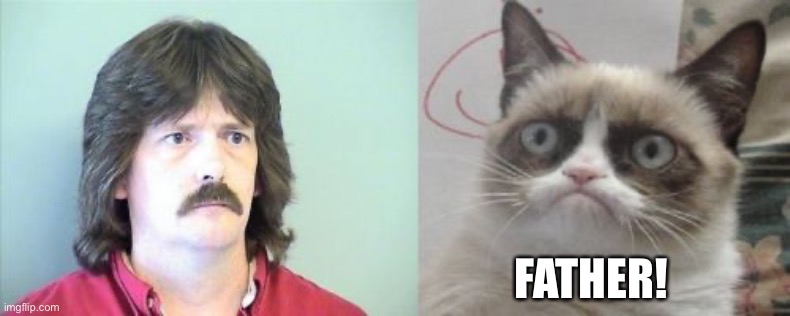 I’m going to spam cat memes because cat memes | FATHER! | image tagged in memes,grumpy cat's father,grumpy cat | made w/ Imgflip meme maker