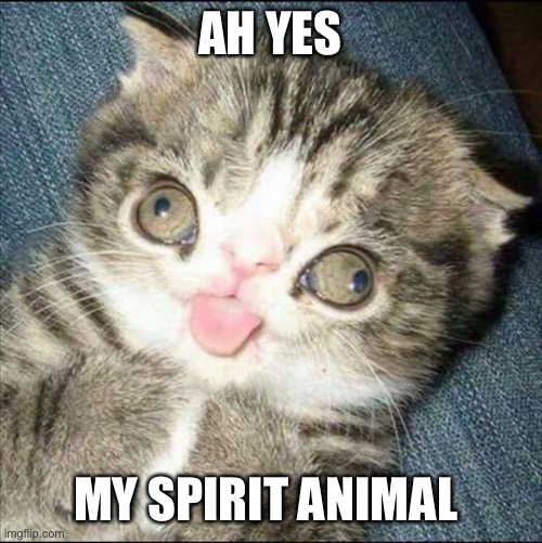 Double meow | AH YES; MY SPIRIT ANIMAL | image tagged in derp cat | made w/ Imgflip meme maker