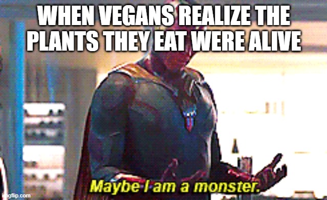imagine this happening | WHEN VEGANS REALIZE THE PLANTS THEY EAT WERE ALIVE | image tagged in maybe i am a monster | made w/ Imgflip meme maker