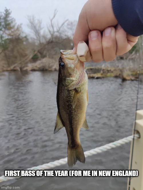 FIRST BASS OF THE YEAR (FOR ME IN NEW ENGLAND) | made w/ Imgflip meme maker