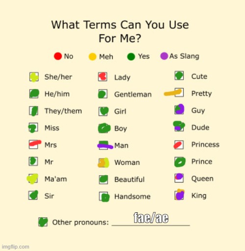 pronoun sheet | fae/ae | image tagged in pronouns sheet | made w/ Imgflip meme maker