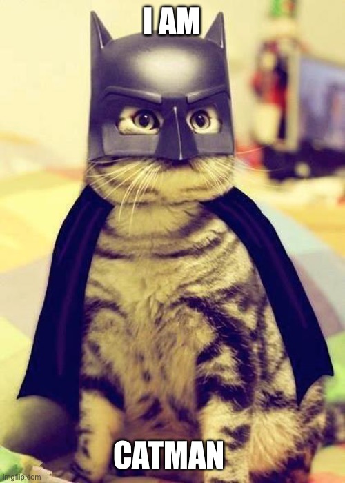 Yes | I AM; CATMAN | image tagged in batman cat | made w/ Imgflip meme maker