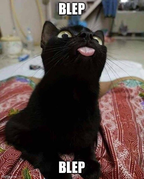 Blep | BLEP; BLEP | image tagged in black cat tongue,blep | made w/ Imgflip meme maker
