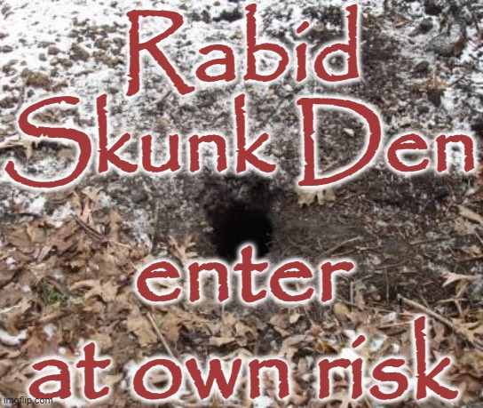 Rabid Skunk Den -Enter at own risk | Rabid Skunk Den; enter at own risk | image tagged in skunk den hole burrow winter,skunk,funny signs,humo,joke,animal | made w/ Imgflip meme maker