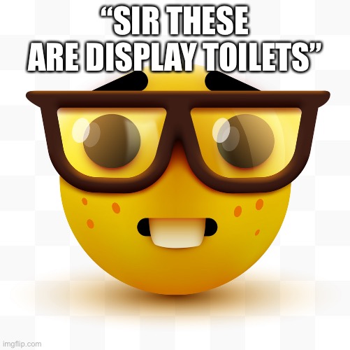 Nerd emoji | “SIR THESE ARE DISPLAY TOILETS” | image tagged in nerd emoji | made w/ Imgflip meme maker