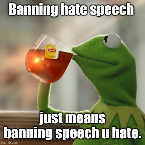 But That's None Of My Business | Banning hate speech; just means banning speech u hate. | image tagged in memes,but that's none of my business,kermit the frog | made w/ Imgflip meme maker