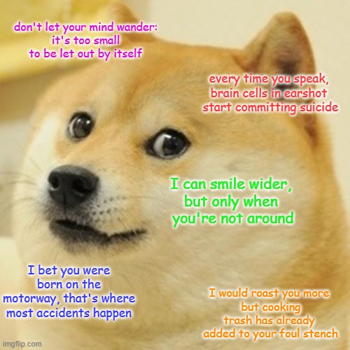 Roast doge | don't let your mind wander:
it's too small to be let out by itself; every time you speak, 
brain cells in earshot 
start committing suicide; I can smile wider, 
but only when 
you're not around; I bet you were born on the motorway, that's where most accidents happen; I would roast you more 
but cooking trash has already 
added to your foul stench | image tagged in memes,doge | made w/ Imgflip meme maker