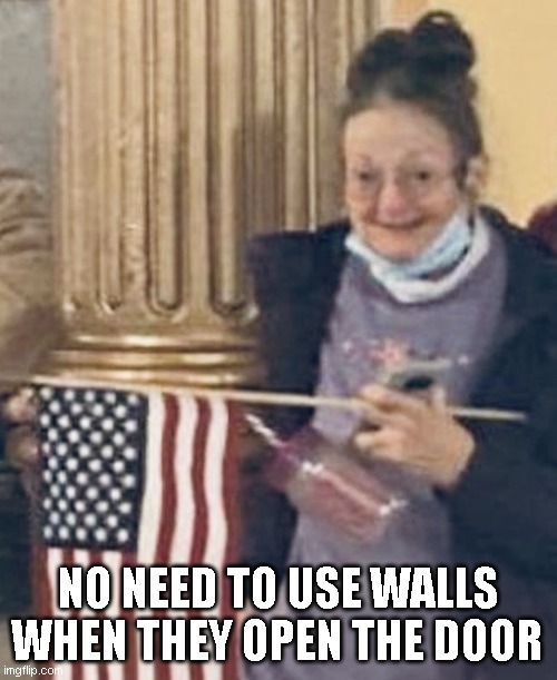 January 6th Terrorist | NO NEED TO USE WALLS WHEN THEY OPEN THE DOOR | image tagged in january 6th terrorist | made w/ Imgflip meme maker