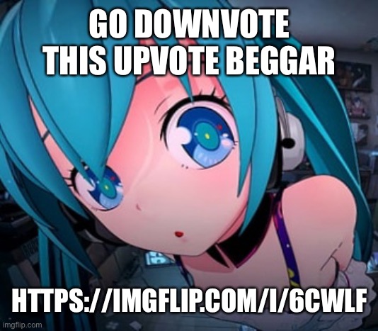 Miku Fisheye | GO DOWNVOTE THIS UPVOTE BEGGAR; HTTPS://IMGFLIP.COM/I/6CWLF | image tagged in miku fisheye | made w/ Imgflip meme maker