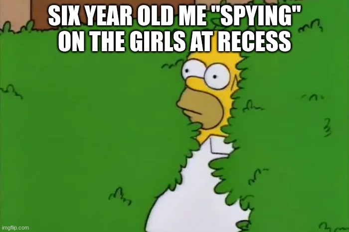 SIX YEAR OLD ME "SPYING" ON THE GIRLS AT RECESS | image tagged in idk | made w/ Imgflip meme maker