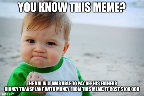 Success Kid Original Meme | YOU KNOW THIS MEME? THE KID IN IT WAS ABLE TO PAY OFF HIS FATHERS KIDNEY TRANSPLANT WITH MONEY FROM THIS MEME. IT COST $100,000 | image tagged in memes,success kid original | made w/ Imgflip meme maker