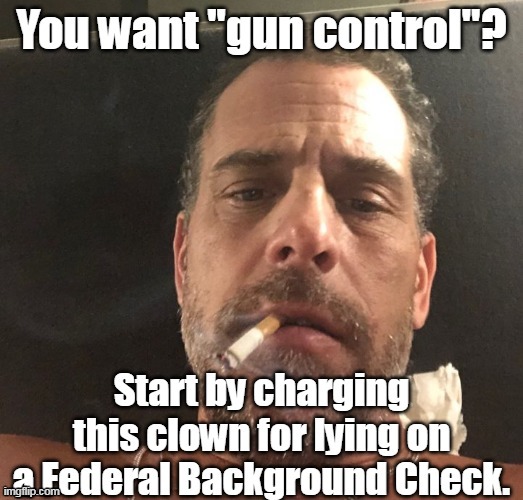 Punishable by fines up to $250,000 and/or up to 10 years in prison. | image tagged in hunter biden,gun control,hypocrites,criminal,gun laws | made w/ Imgflip meme maker