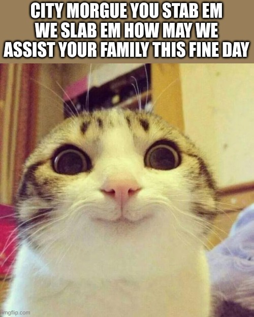 Smiling Cat | CITY MORGUE YOU STAB EM WE SLAB EM HOW MAY WE ASSIST YOUR FAMILY THIS FINE DAY | image tagged in memes,smiling cat,bright sunny day with all smiles except for a few | made w/ Imgflip meme maker