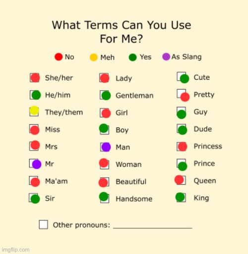 Pronouns Sheet | image tagged in pronouns sheet | made w/ Imgflip meme maker