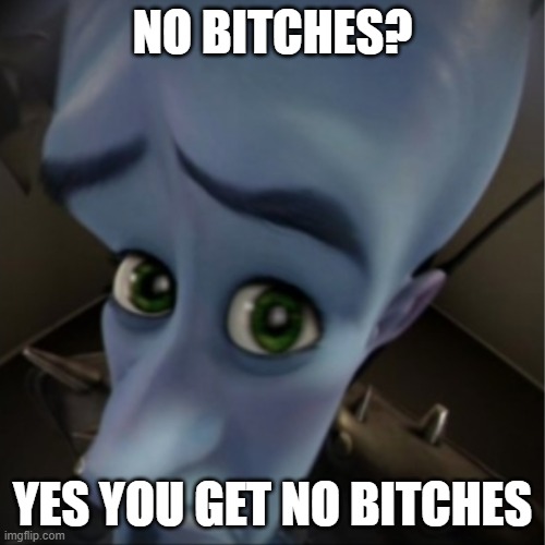 Megamind peeking | NO BITCHES? YES YOU GET NO BITCHES | image tagged in megamind peeking | made w/ Imgflip meme maker