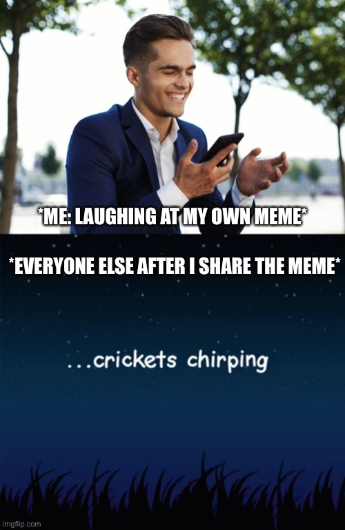 Laughing At My Own Meme Everyone Else Crickets | *ME: LAUGHING AT MY OWN MEME*; *EVERYONE ELSE AFTER I SHARE THE MEME* | image tagged in crickets chirping,laughing,my meme,funny memes,everyone else | made w/ Imgflip meme maker