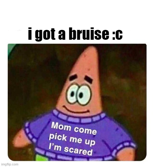 6 year old me when I fall off a bike. | i got a bruise :c | image tagged in patrick mom come pick me up i'm scared | made w/ Imgflip meme maker