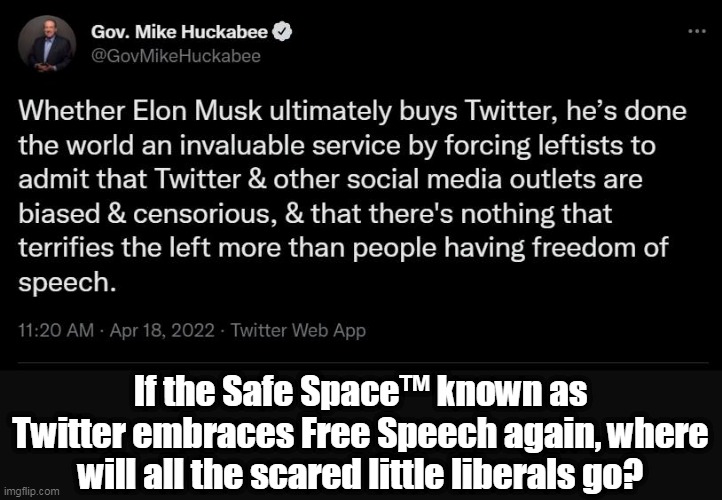 Government funded Safe Spaces™?  Life is a scary place . . . | If the Safe Space™ known as Twitter embraces Free Speech again, where will all the scared little liberals go? | image tagged in safe space,triggered liberal,scared,1st amendment,free speech | made w/ Imgflip meme maker
