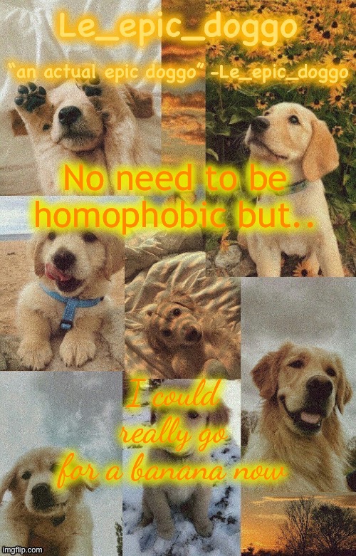Doggo temp by doggo. Wait what that’s confusing | No need to be homophobic but.. I could really go for a banana now | image tagged in doggo temp by doggo wait what that s confusing | made w/ Imgflip meme maker